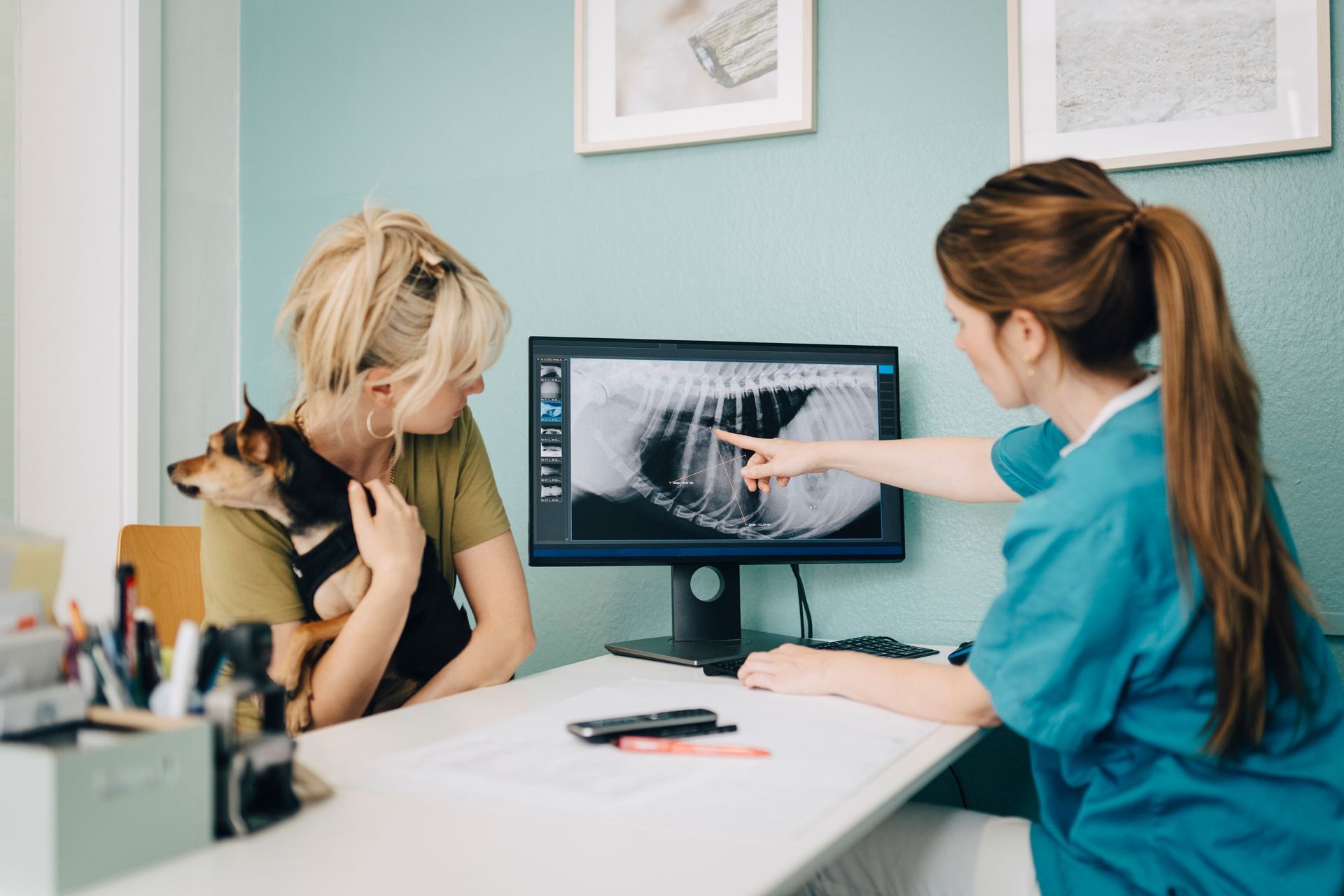 Donna che tiene in braccio un cane, veterinario che indica una radiografia sullo schermo di un computer in una clinica veterinaria.