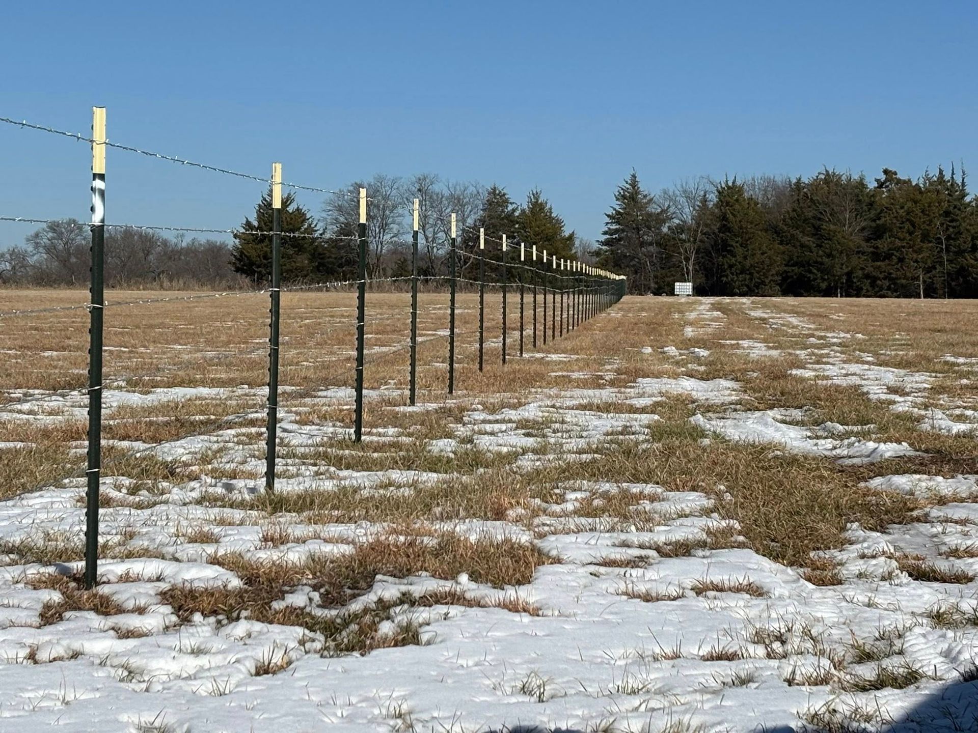 Snow-dusted field with a long row of fence posts under a clear blue sky