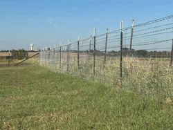 Chain-link fence along a grassy field under a clear blue sky.