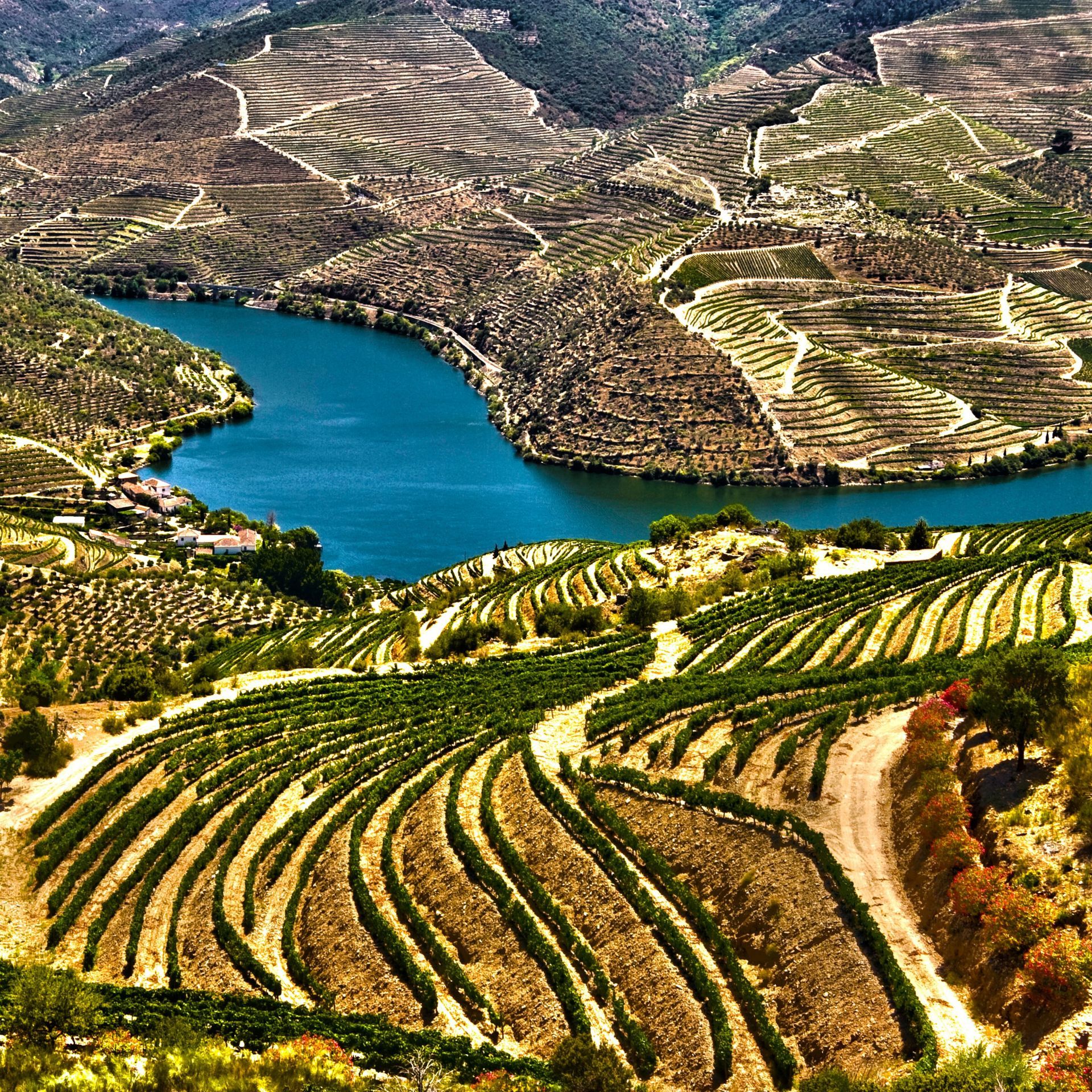 Douro Valley
