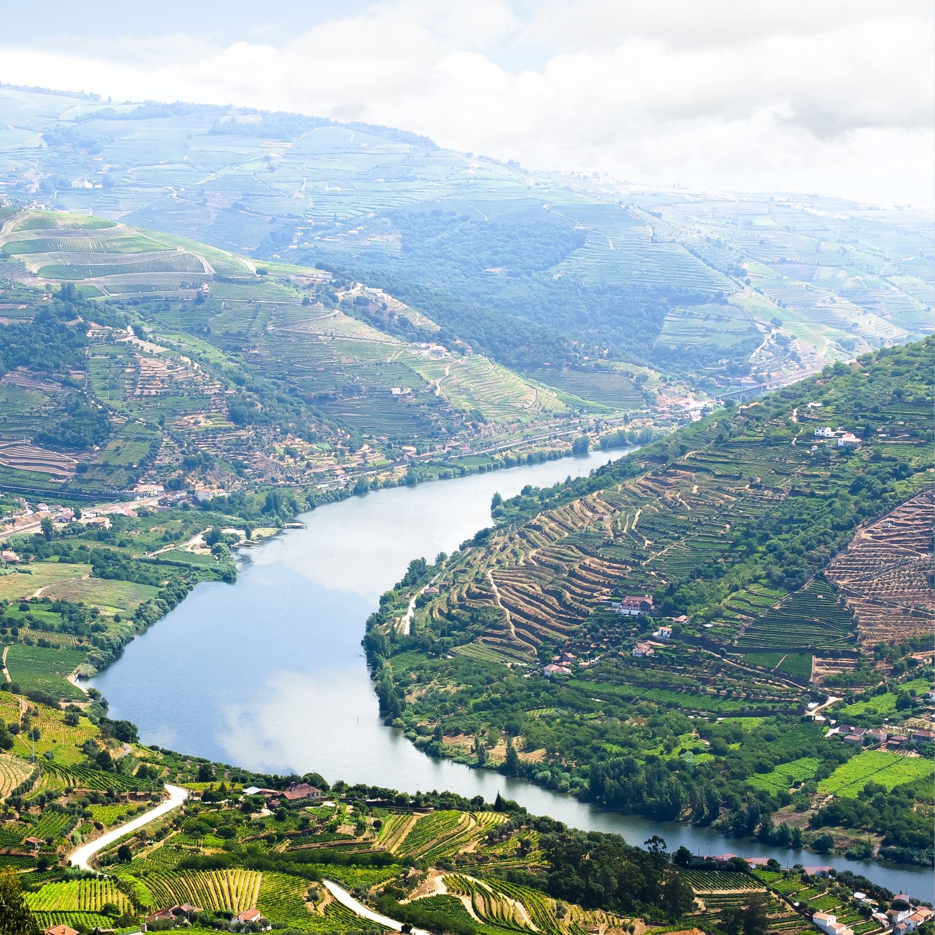 View of Douro Valley, surrounded by vineyards
