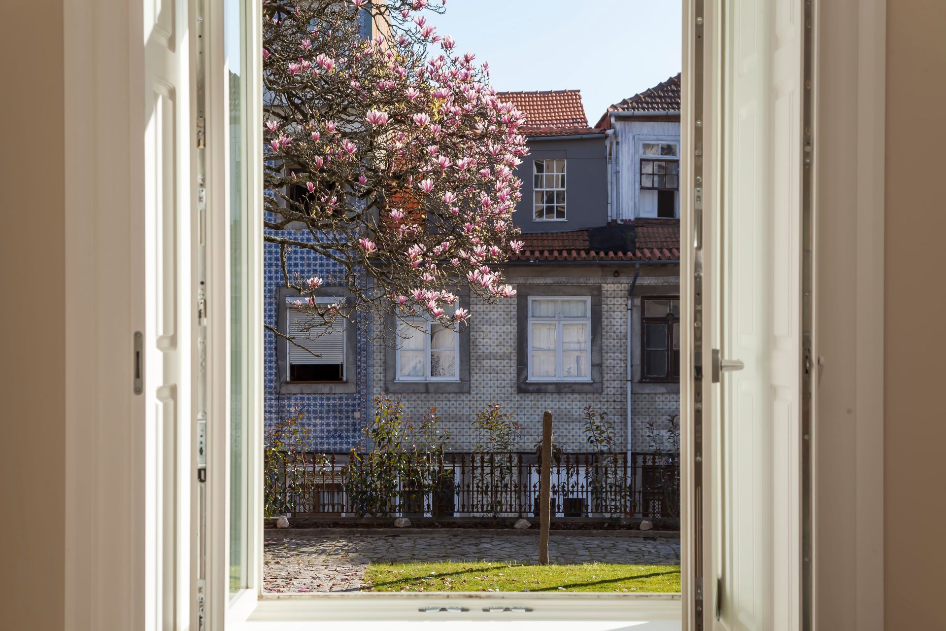 Magnolia tree and view of the garden, Casa Kala Porto, Portugal