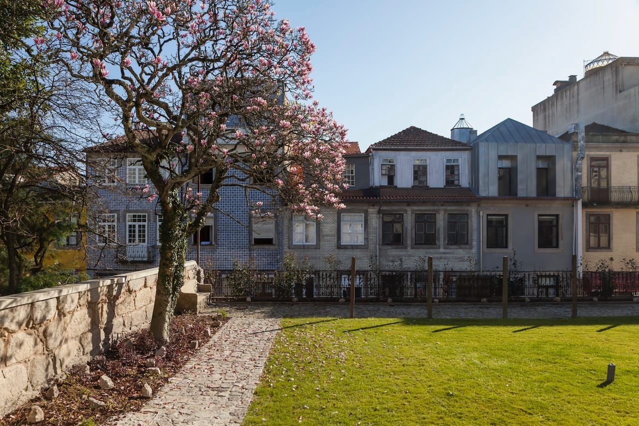 Casa Kala, Porto. Garden with Magnolia tree and backdrop of traditional Porto Townhouses