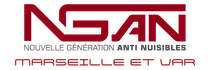 logo de l'entreprise ngan