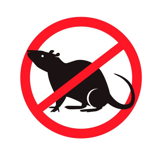 Un panneau d'interdiction des rats avec une silhouette de rat dans un cercle rouge.