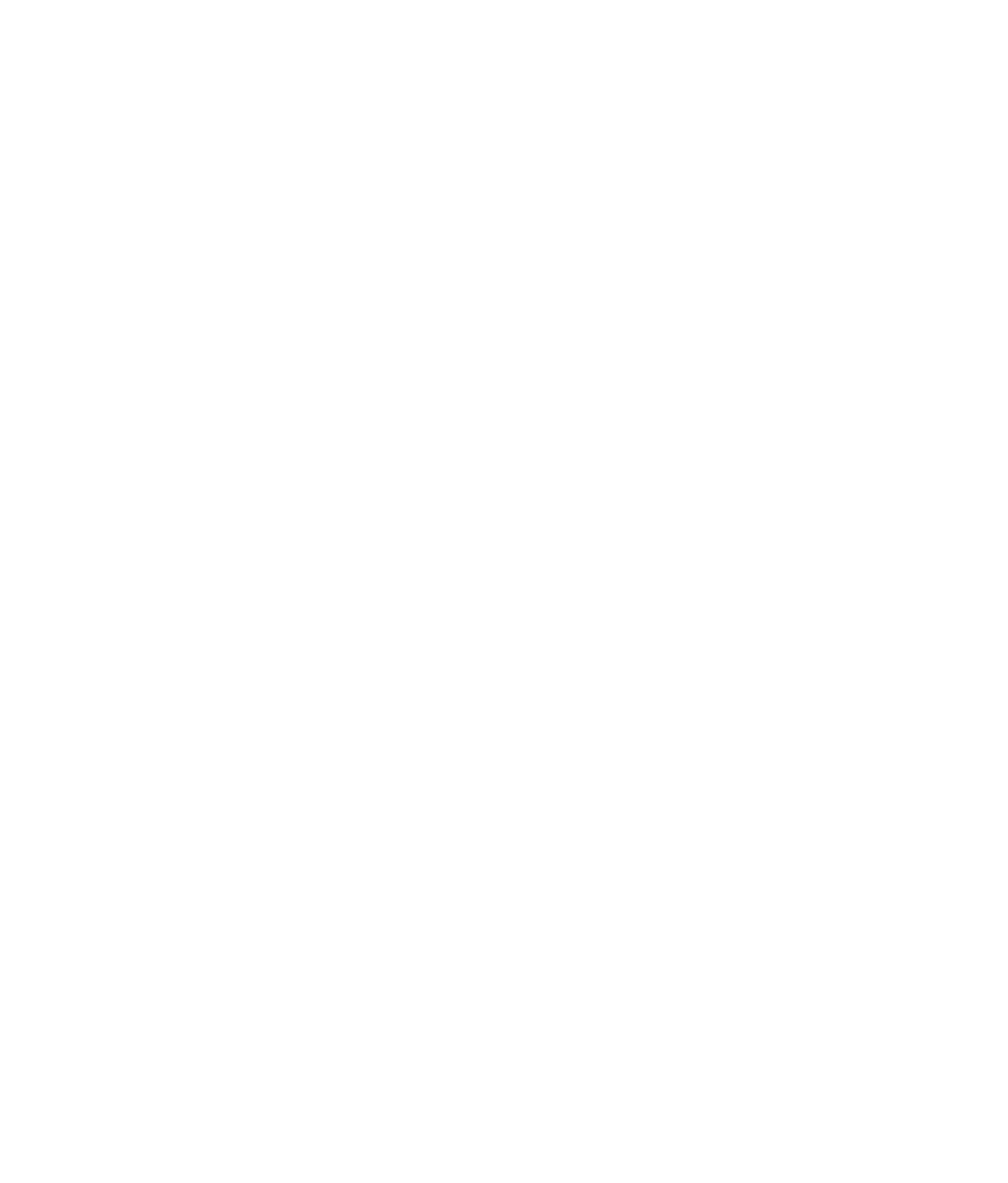 Bhasin Properties Footer Logo - Select To Go Home