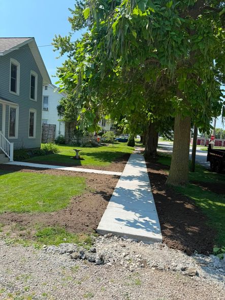 Concrete sidewalk beside a house and large tree in a sunny residential yard
