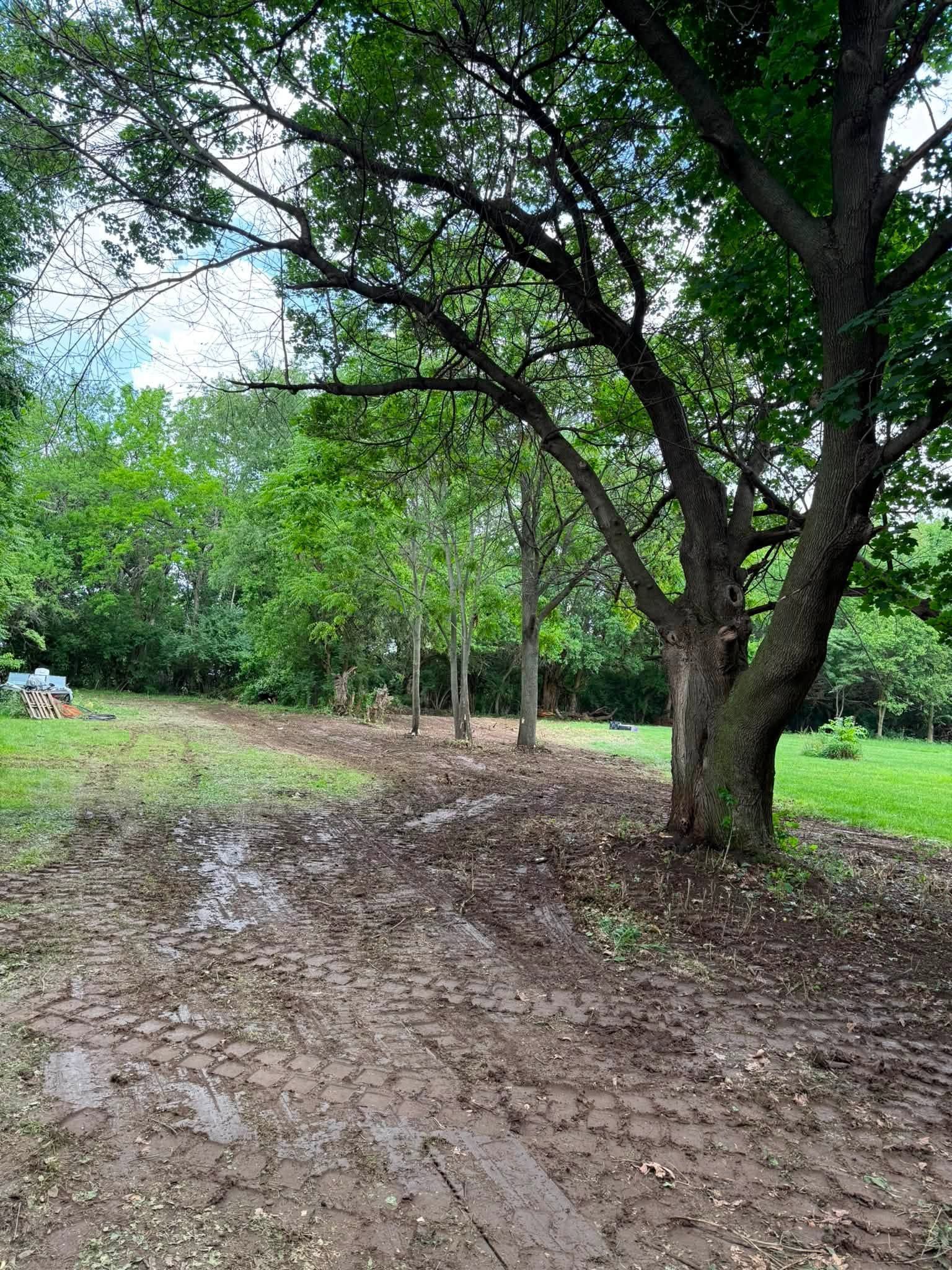 Muddy dirt path through a green park with large trees and a cloudy sky