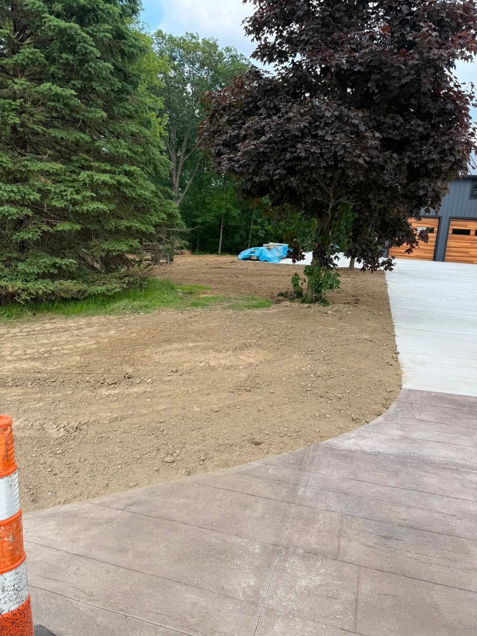 Front yard with a curved paved driveway, dirt lawn, two trees, and an orange traffic cone.