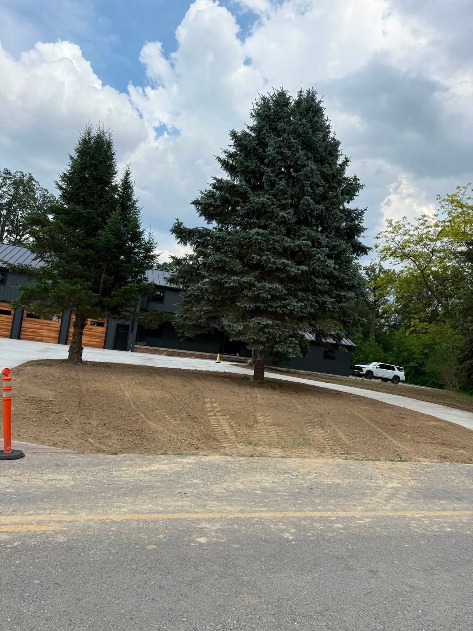 Tree-lined suburban lot with tall evergreens, a sidewalk, and a partly cloudy sky
