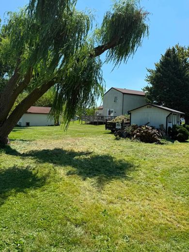 Sunny backyard with a large tree, grassy lawn, and a house in the background.