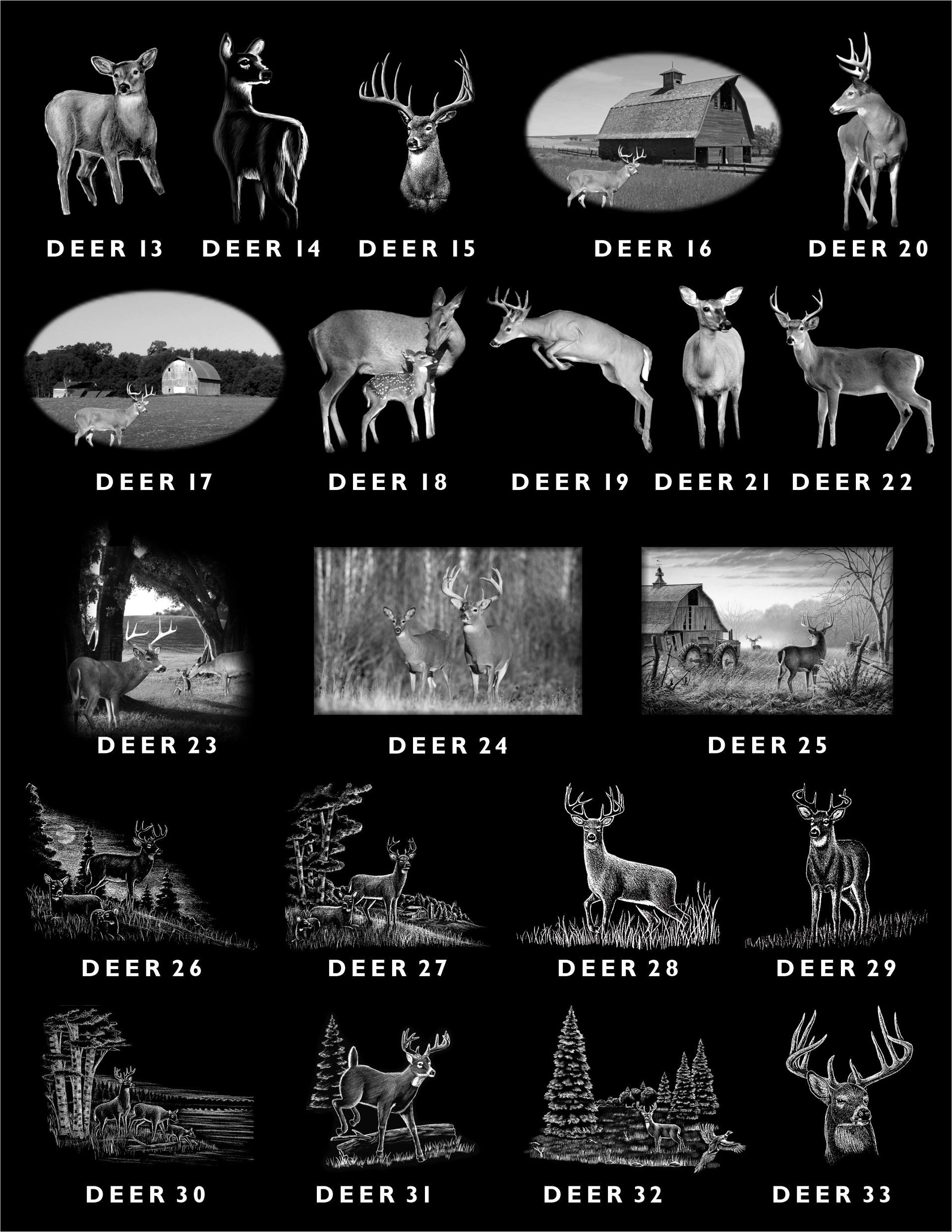 A grid of 21 numbered illustrations and photos of deer in various poses and scenic landscapes.