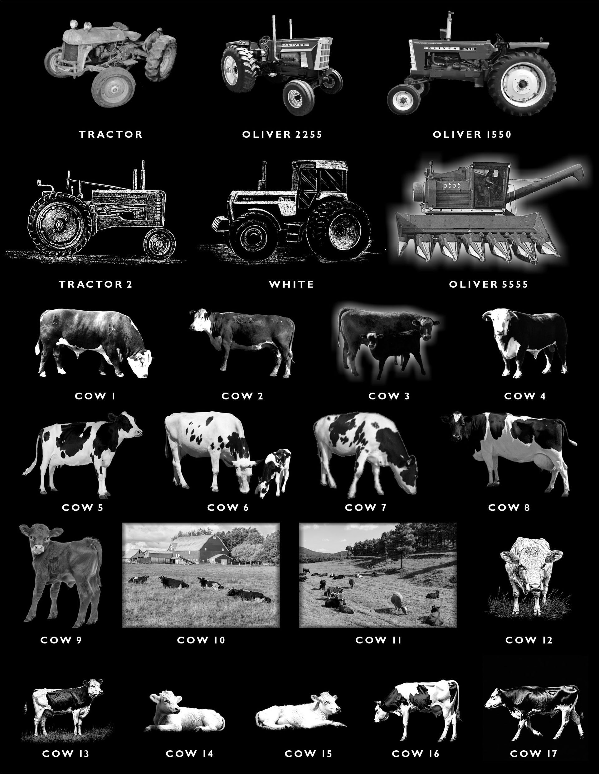 A grid of 21 images featuring various tractors, farm landscapes, and different cows, each labeled with a number.