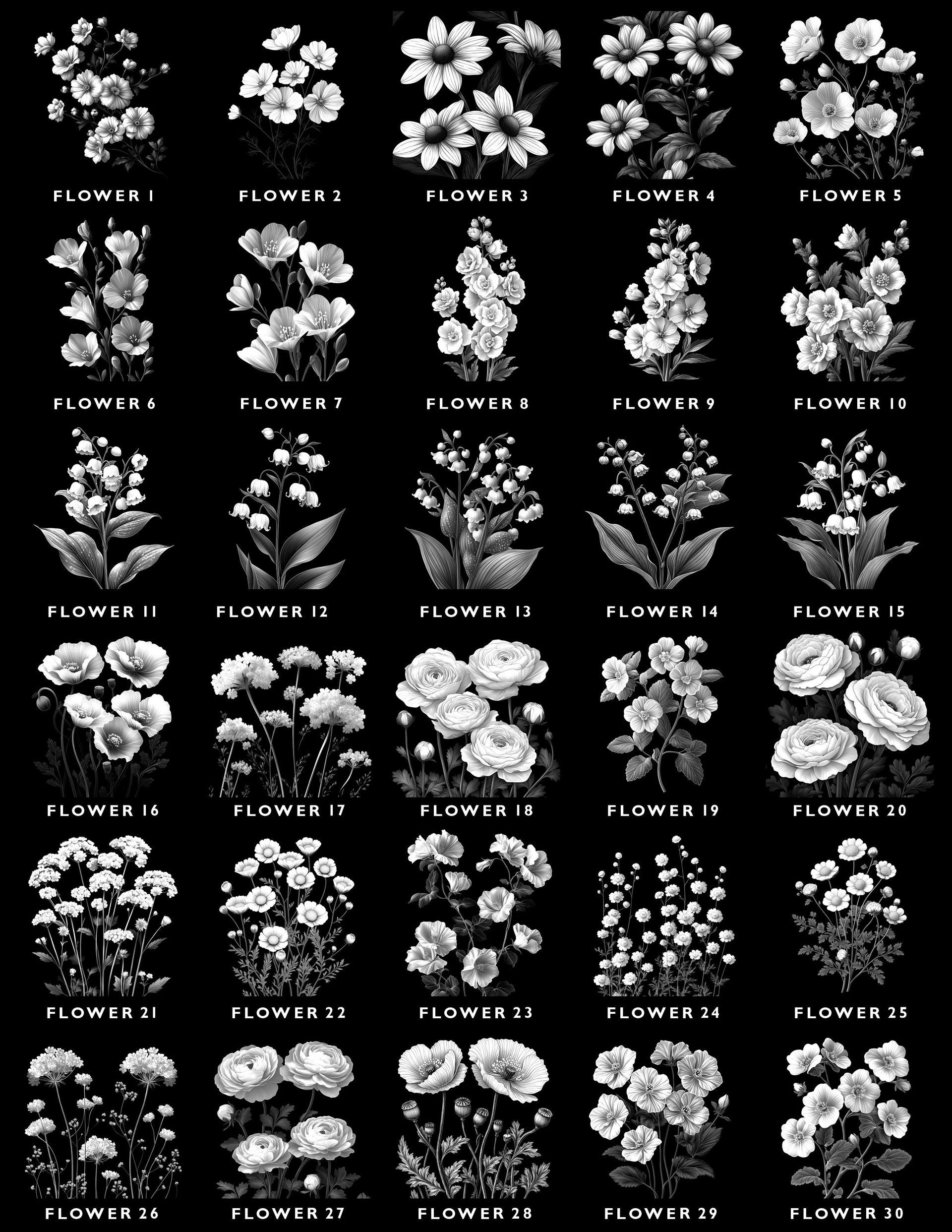 A grid of 30 labeled black-and-white botanical illustrations of various flowers on a black background.
