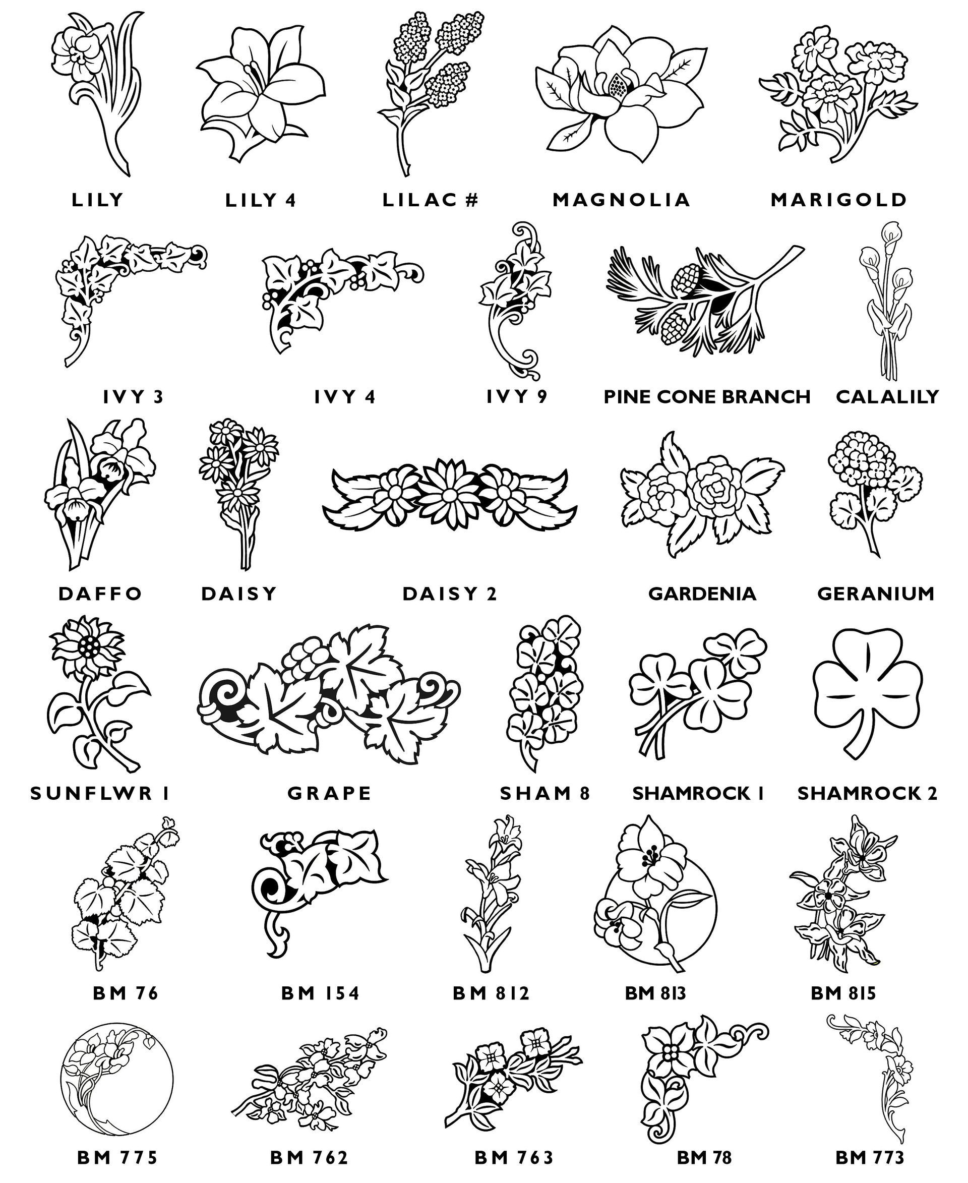 A grid of black-and-white botanical line art designs, labeled with names like Lily, Ivy, Daisy, and Shamrock.