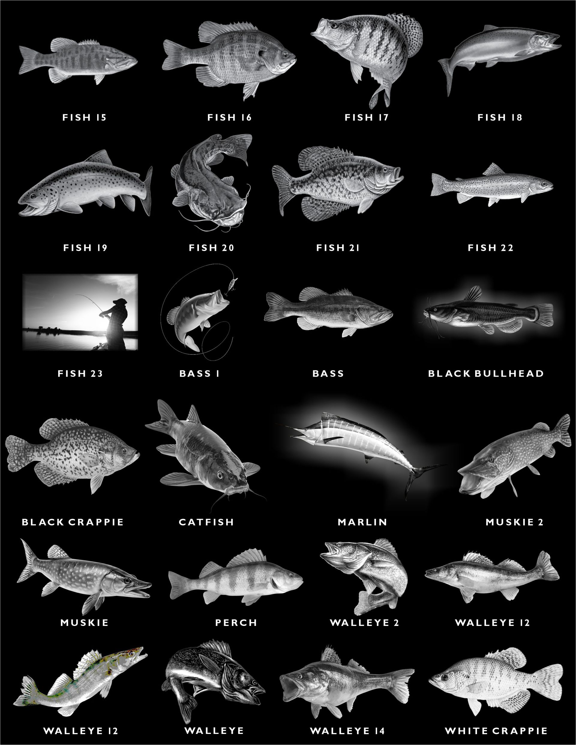 A grid of black-and-white illustrations of various freshwater fish species with their names labeled beneath each.