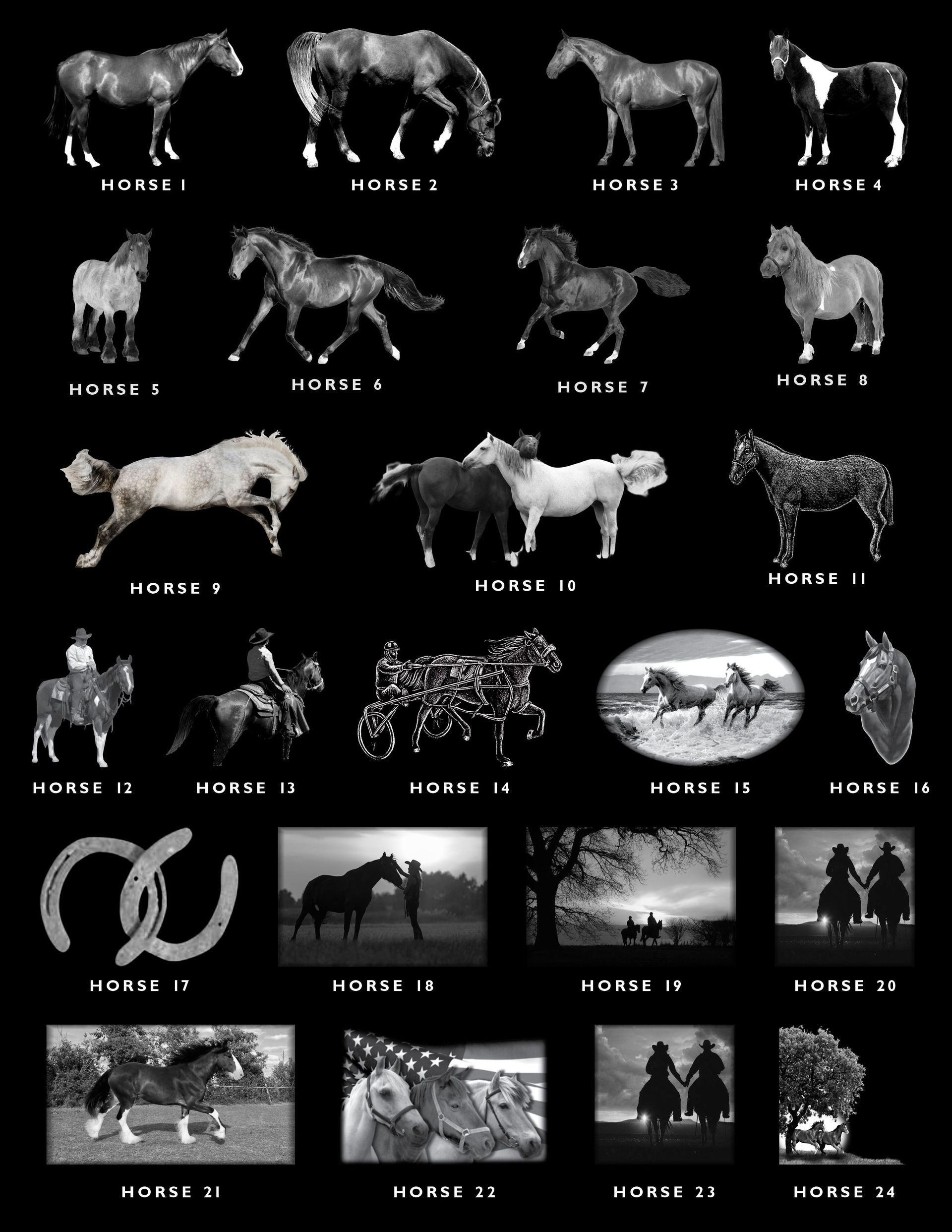 A collage of twenty-four monochrome images showing various horses, riders, and scenic countryside equestrian settings.