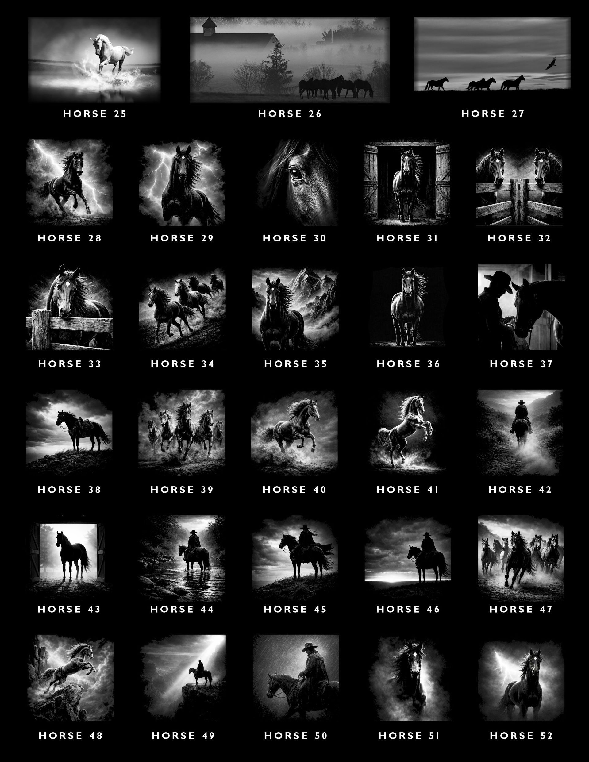 A grid of 30 monochrome images featuring various horses, riders, and outdoor scenes, each labeled with a horse number.