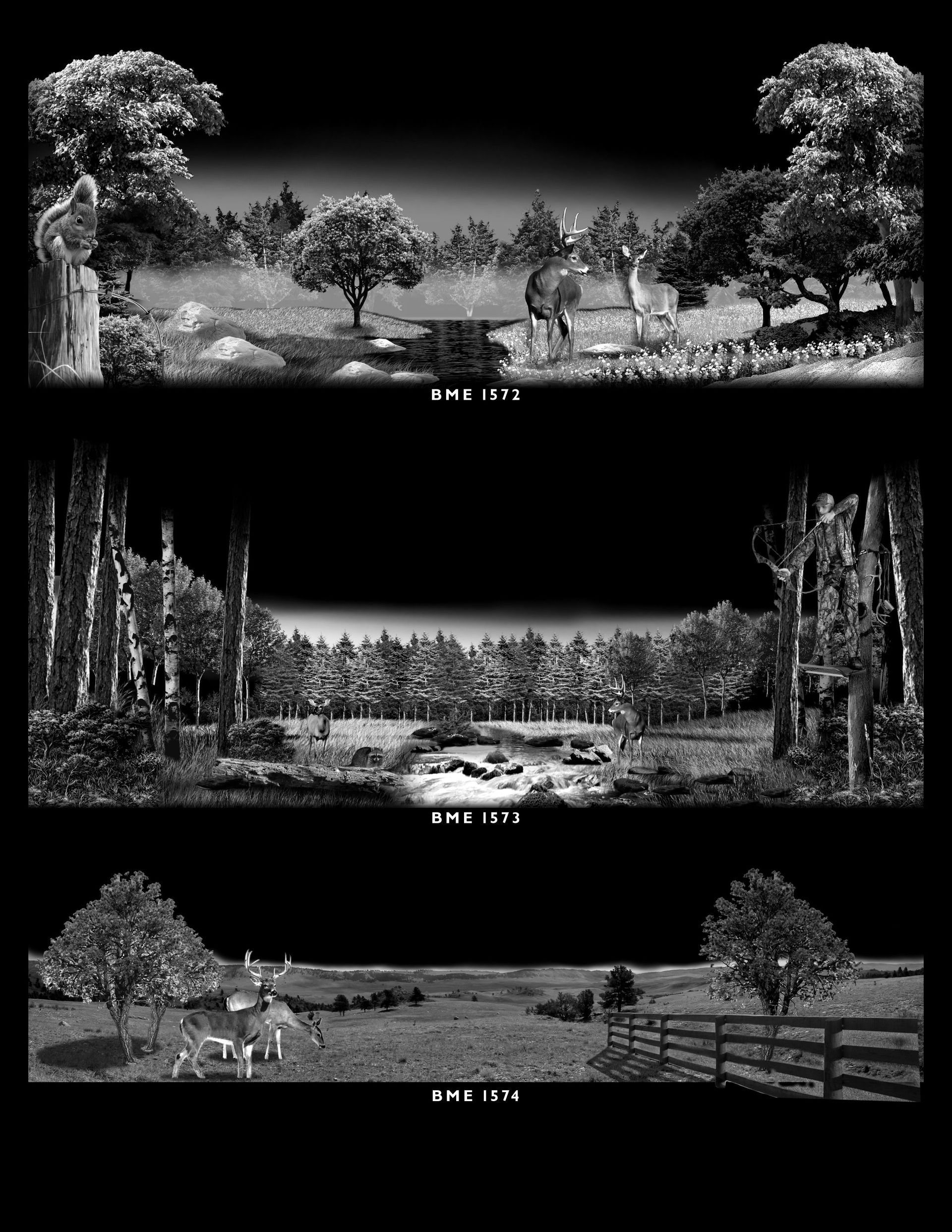 Three black-and-white landscape scenes, each featuring trees and wildlife in varying outdoor environments.