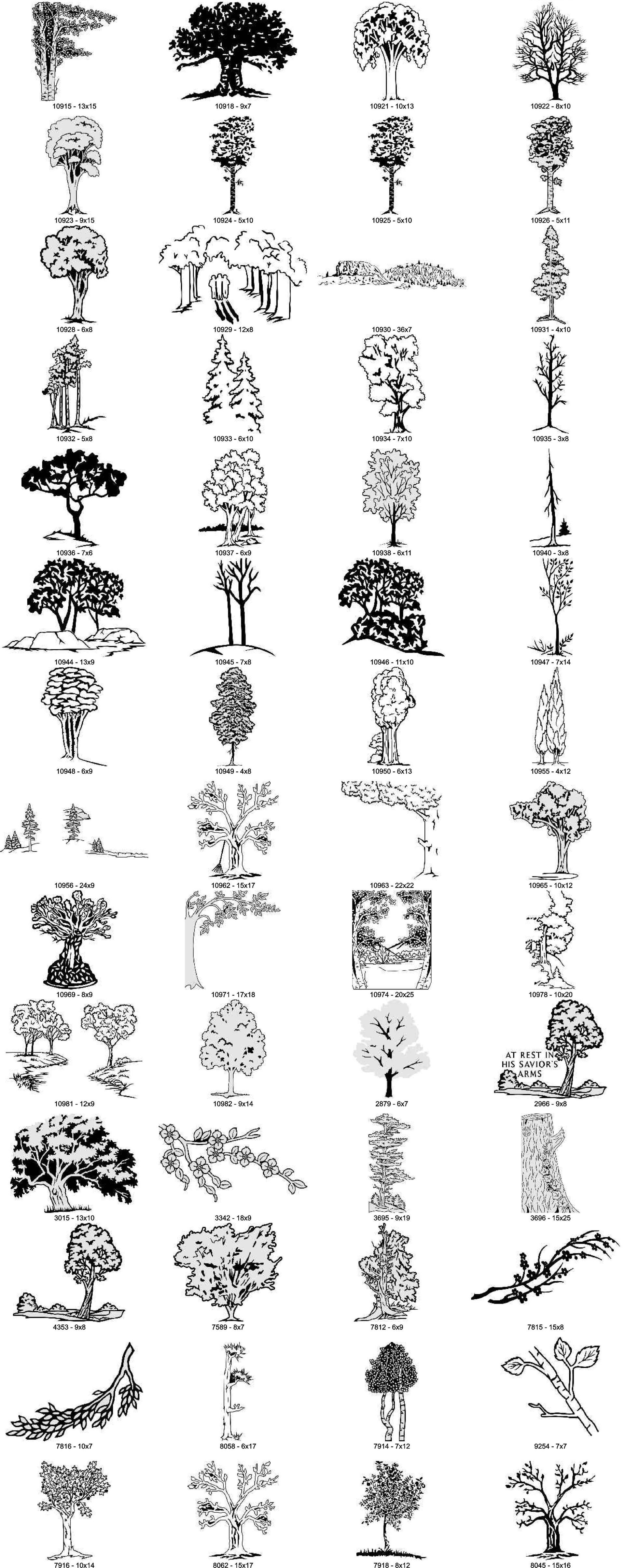 A grid of black-and-white line drawings displaying various styles and species of trees.
