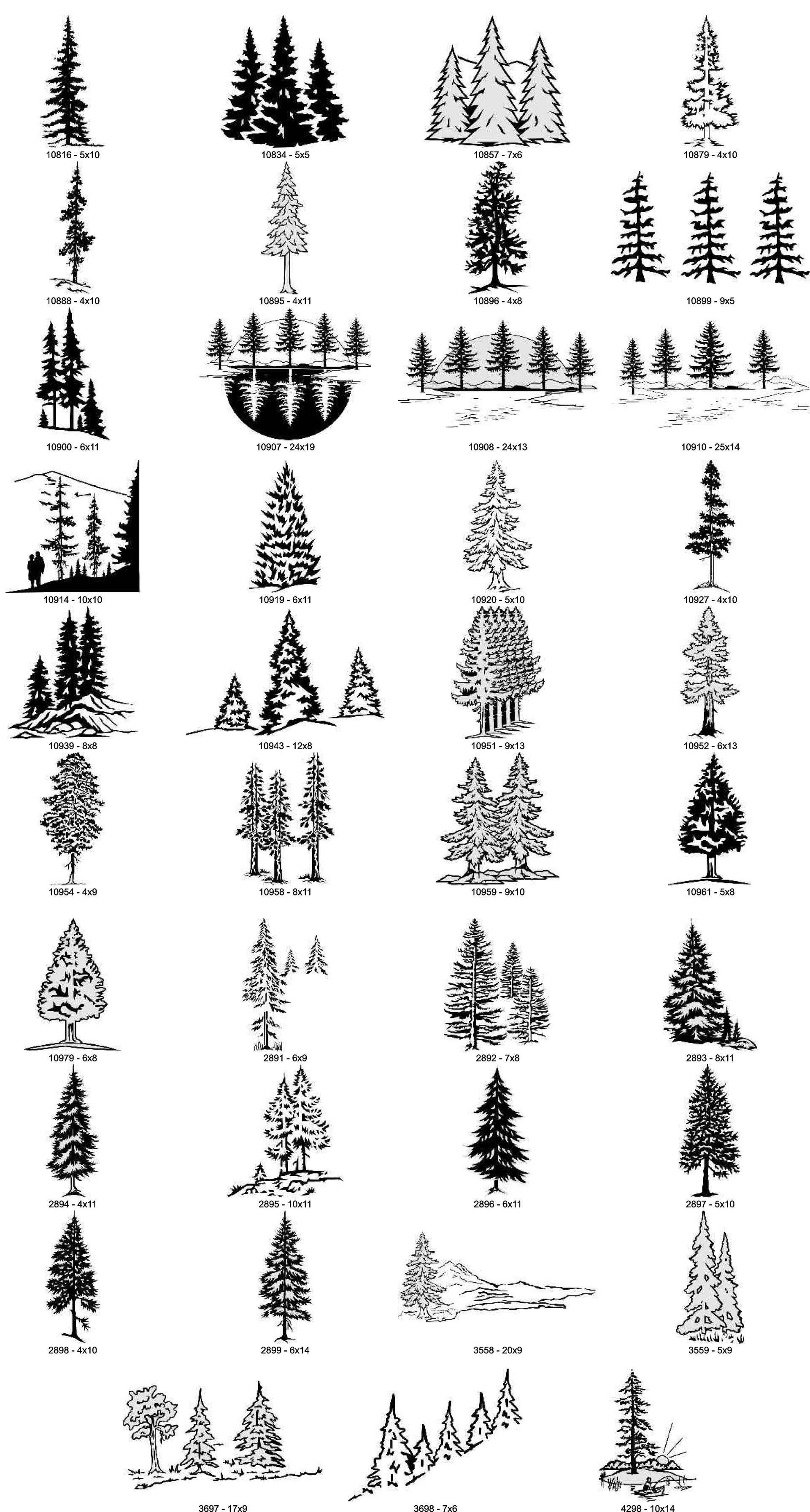 A grid of various black-and-white hand-drawn sketches of different tree species and small forest groupings.