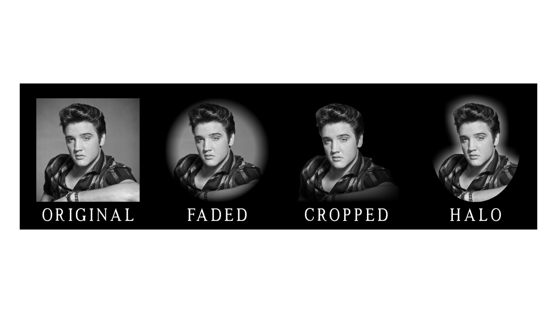 Four portraits of Elvis Presley labeled