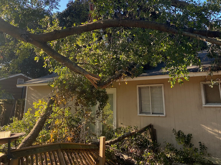 Backyard with a fallen tree branch over a beige house and wooden fence
