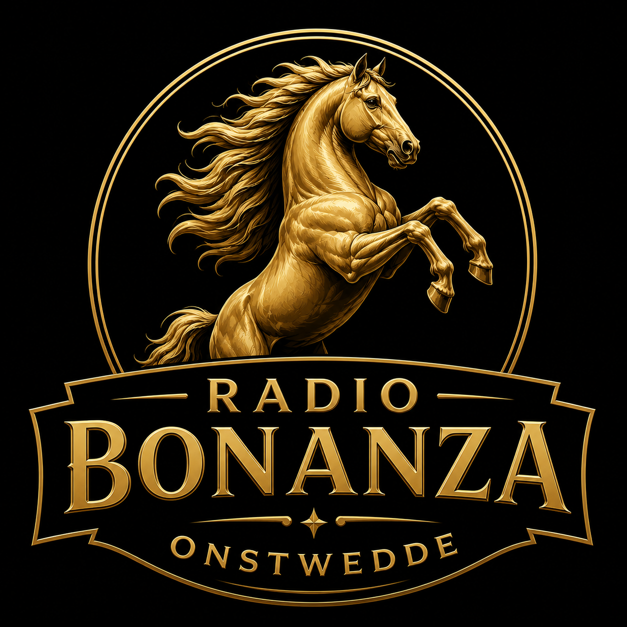 https://www.bonanzaonstwedde.nl