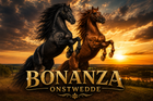Bonanza Onstwedde banner