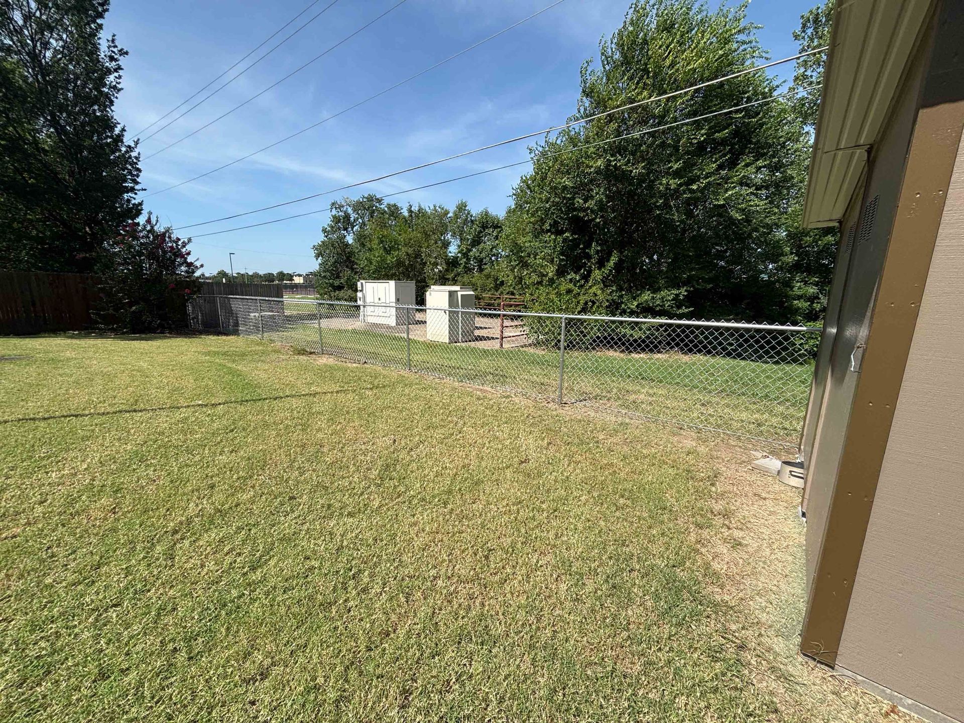 Sunny backyard with green lawn, chain-link fence, trees, and a beige building edge on the right