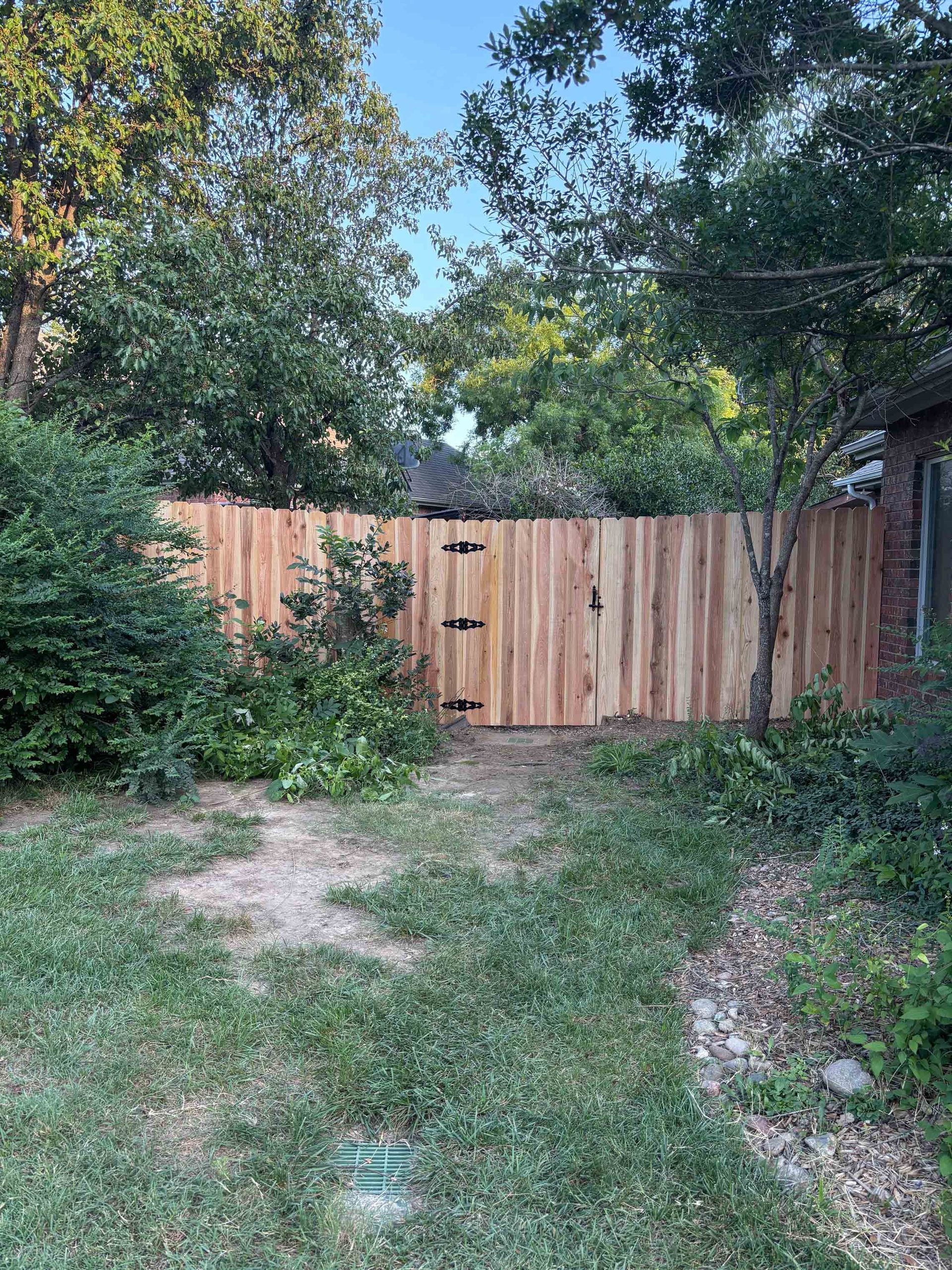 Backyard with a wooden fence, overgrown grass, and trees in the background