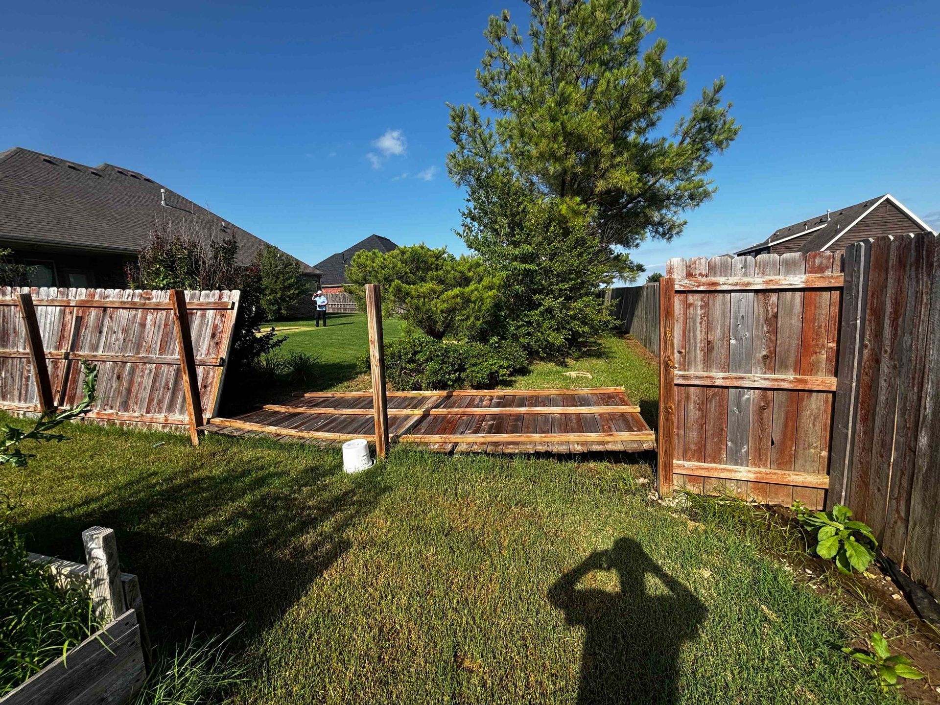 Backyard garden with wooden fence, raised beds, trees, and a bright blue sky