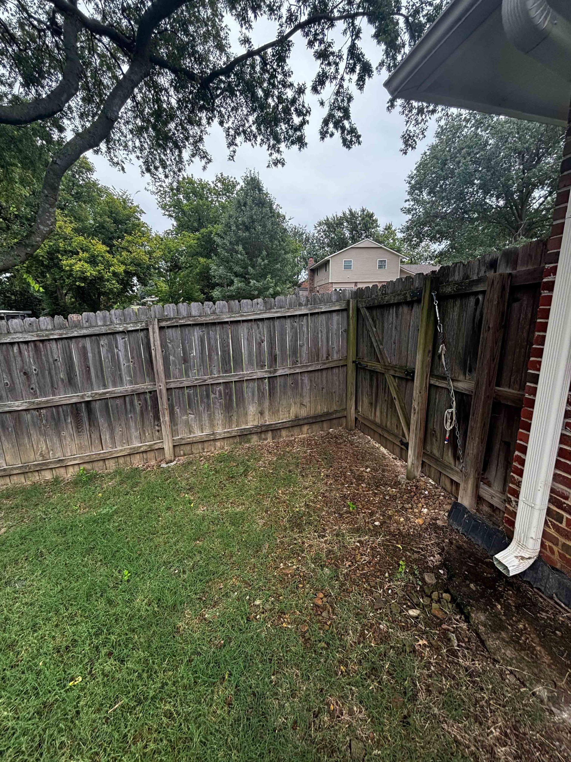 Backyard with weathered wooden fence, grass lawn, trees, and a house in the background