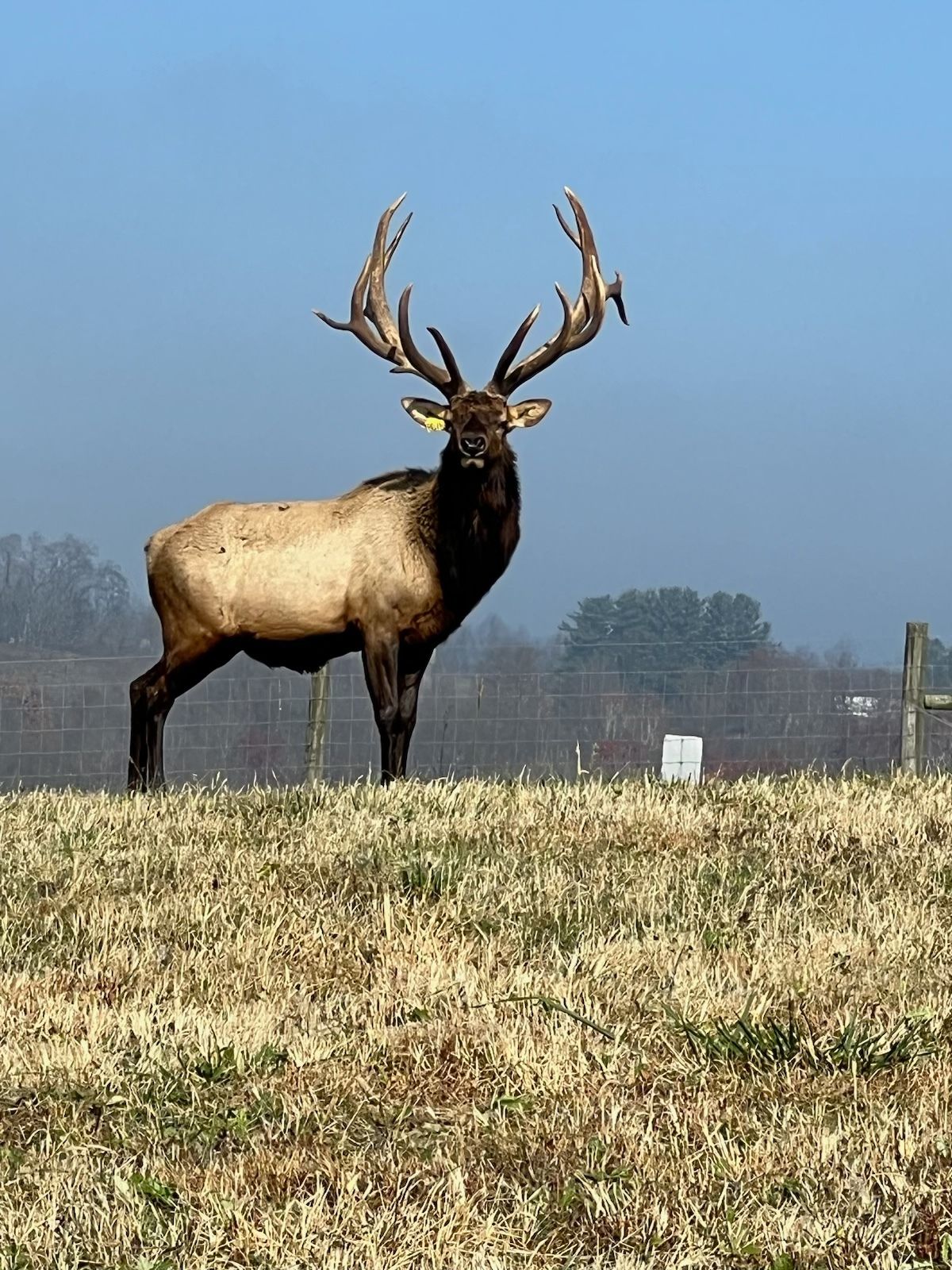 Hunting Package 211″ And Up Walhonding Woods Hunting Lodge