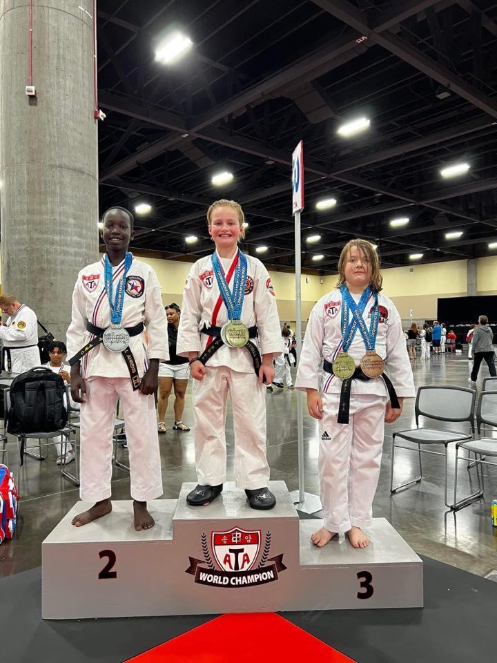 Kids Martial Arts ATA Martial Arts O'Fallon (K & N)