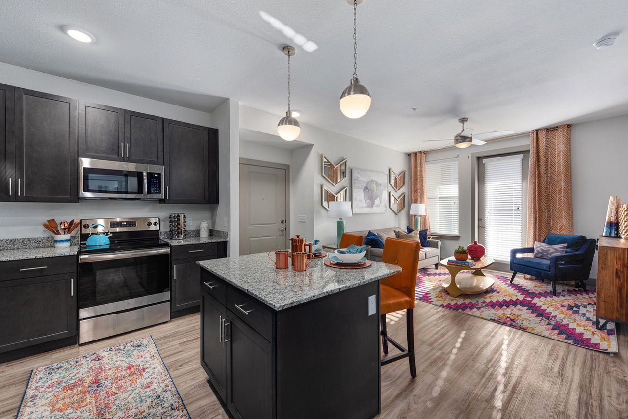 Open-concept apartment kitchen with dark cabinets, granite island, and a living area with a colorful rug.