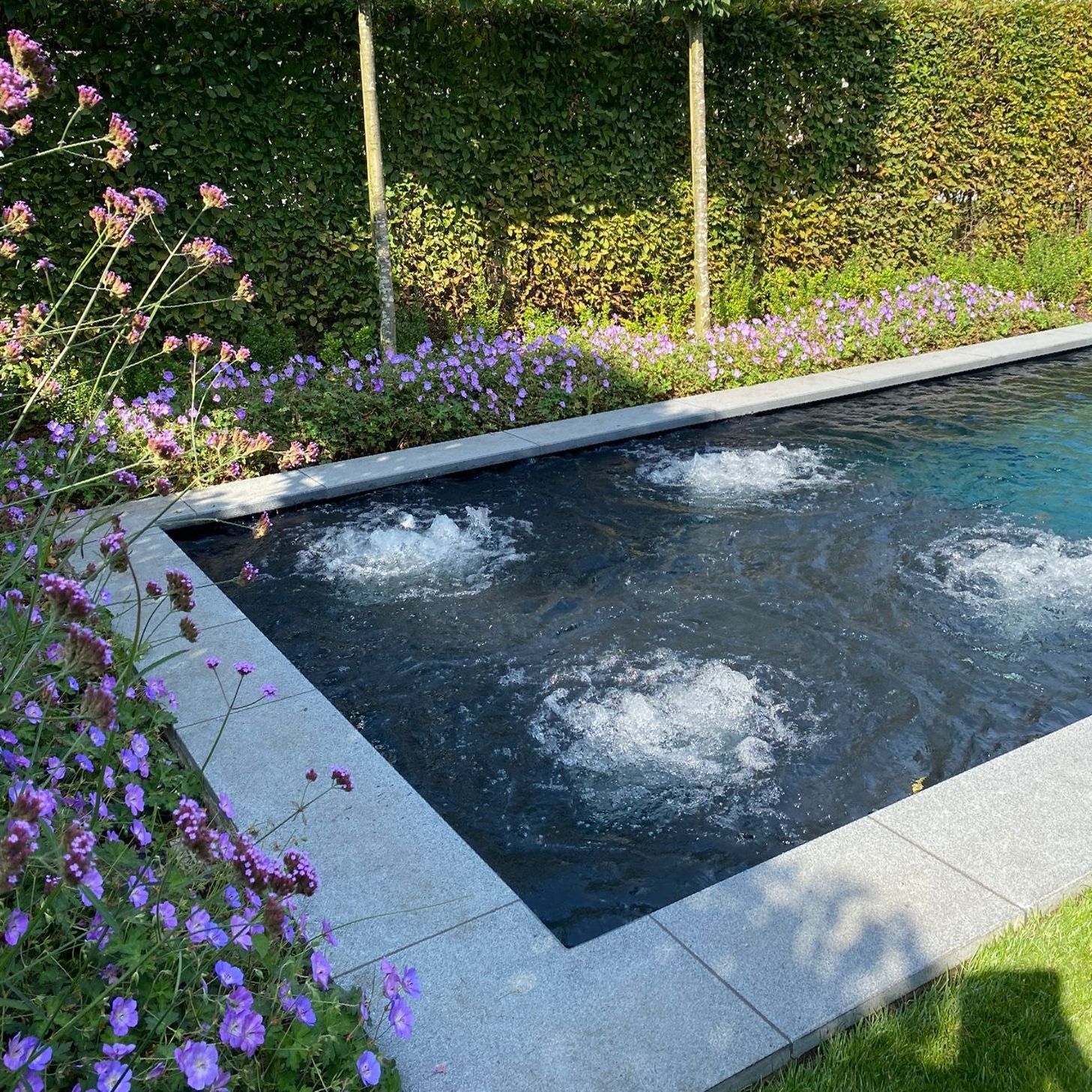 Een zwembad met bubbels en paarse bloemen op de achtergrond.