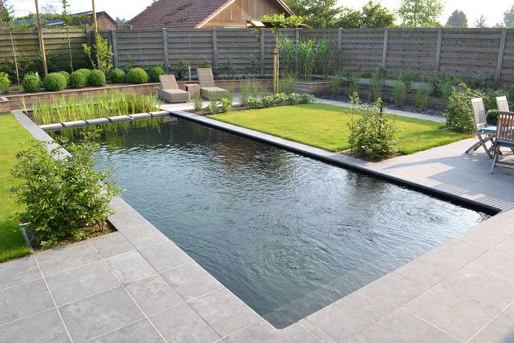 Moderne achtertuin met rechthoekig zwembad, stenen terras, ligstoelen en een zonnig groen gazon.