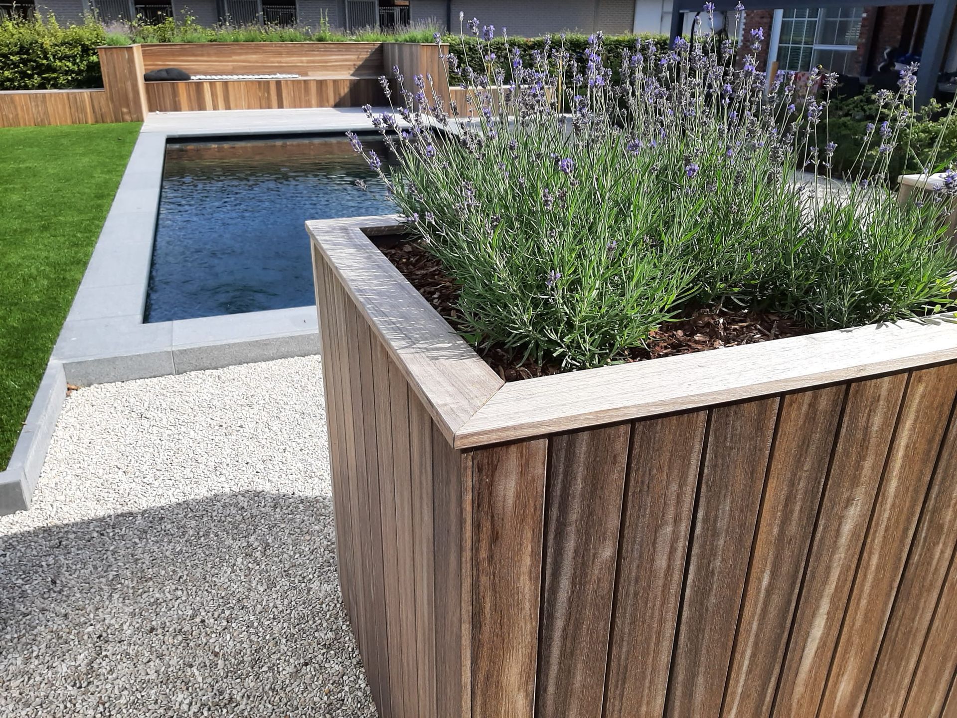 Een houten plantenbak gevuld met planten naast een zwembad.