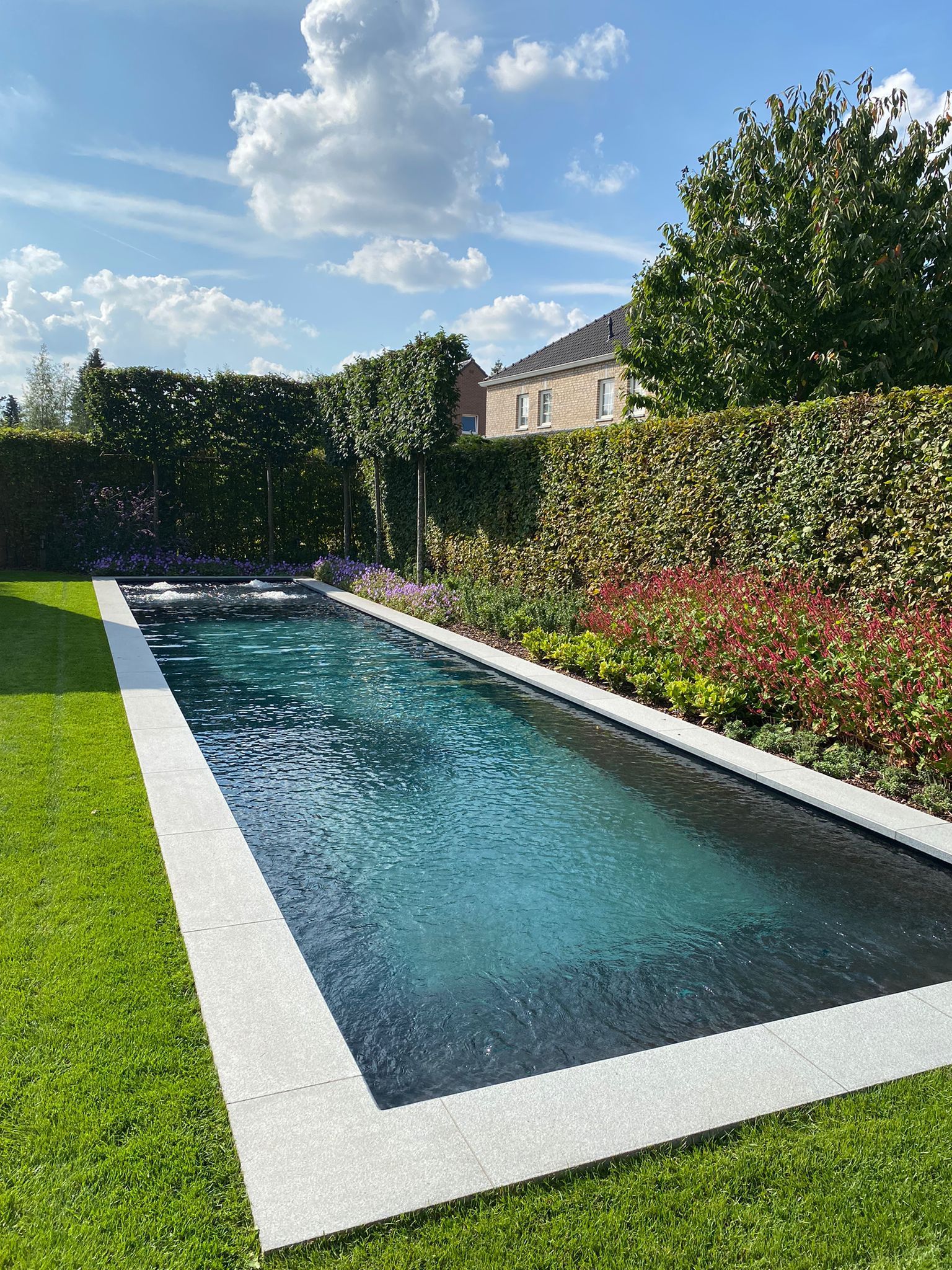 Een groot zwembad ligt midden in een weelderige groene tuin.