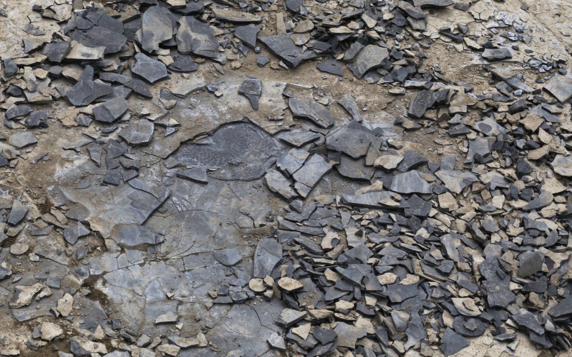 Shale — Elysburg, PA — Stadium Dirt Designs Inc.