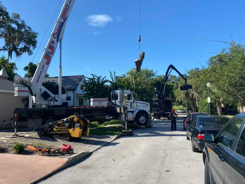 1 Tree Service Servicing Apopka, Orlando & Central FL