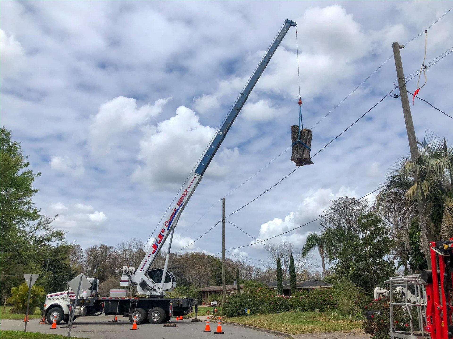 Tree Service Astatula