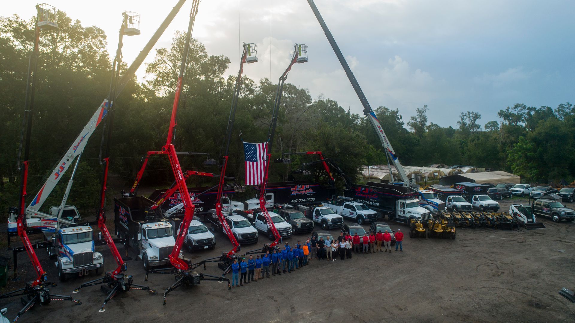Tree Removal Lake Buena Vista