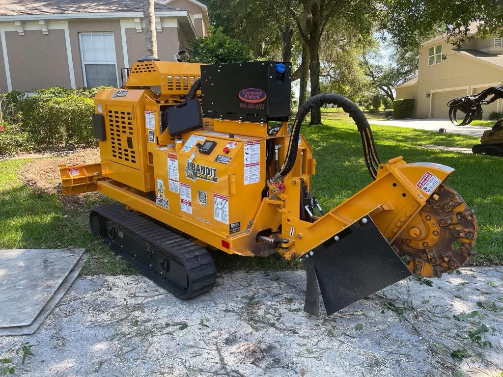 Stump Grinding In Orlando