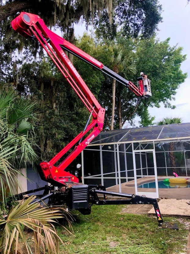 Tree Trimming In Orlando