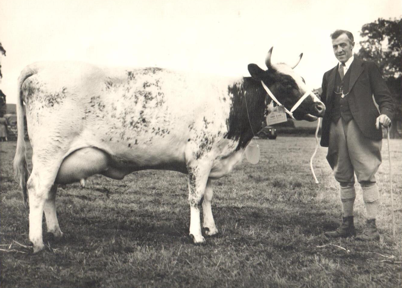 Dawes Carlisle in- the 1950s loaned by John Carlisle