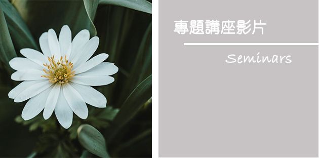 White daisy with a yellow center next to text that says 