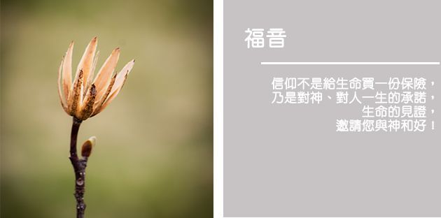 Dried flower on a blurred background, with Chinese text about faith and blessings.