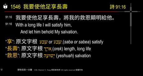 A presentation slide with Chinese and English text about faith and law, along with Greek word roots.